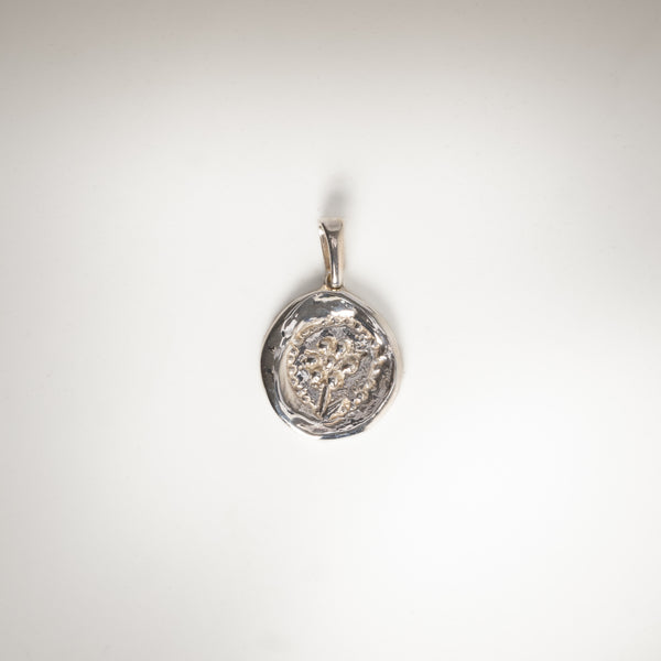 The Chloris Coin