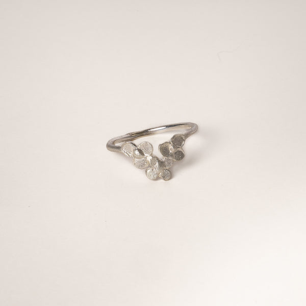 The Ianthe Ring