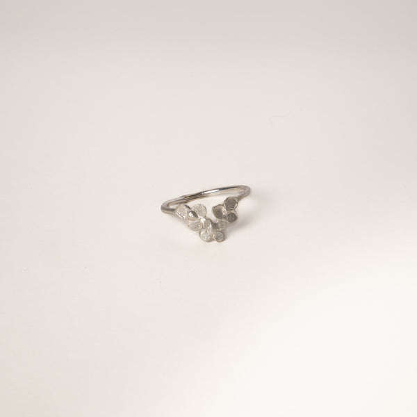 The Ianthe Ring
