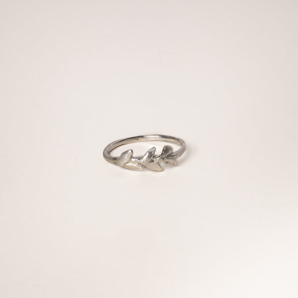 The Melia Ring