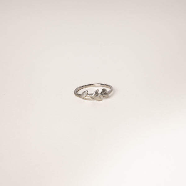 The Melia Ring