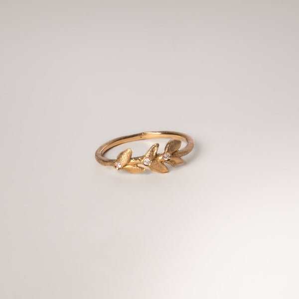 The Melia Ring