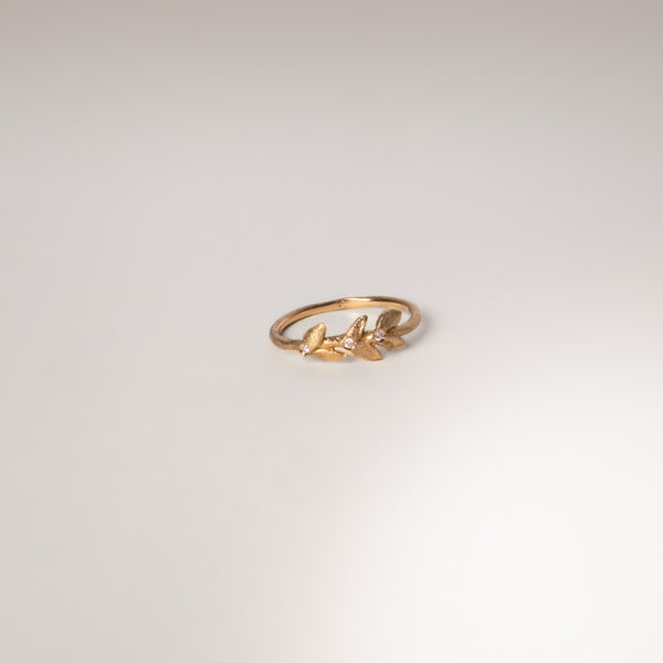The Melia Ring
