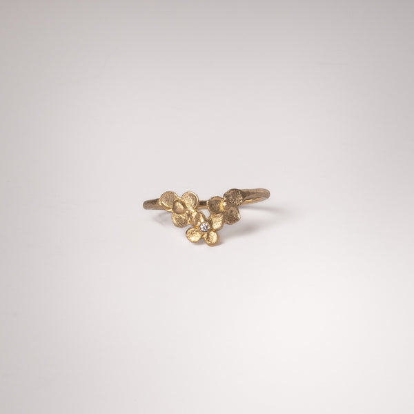 The Ianthe Ring