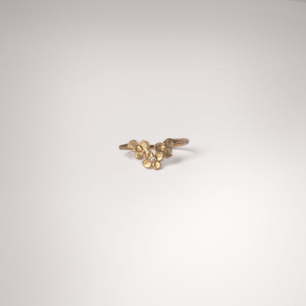 The Ianthe Ring