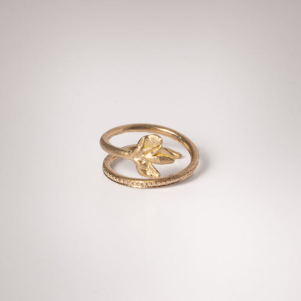 The Two Tours Melia Ring
