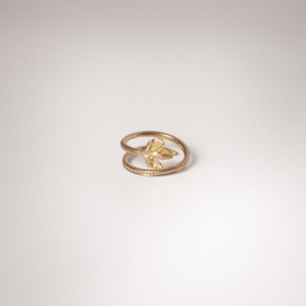 The Two Tours Melia Ring
