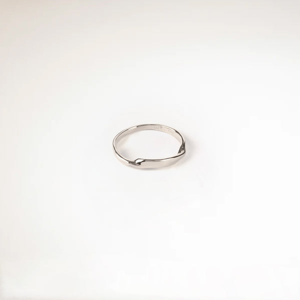 The Boreas Ring